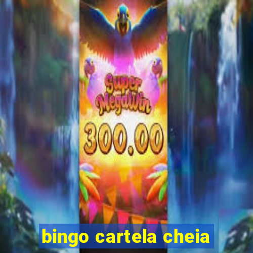 bingo cartela cheia